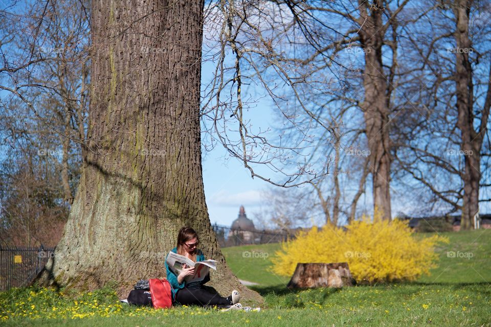 Spring in Haga Park. Haga Park, Stockholm, Sweden 