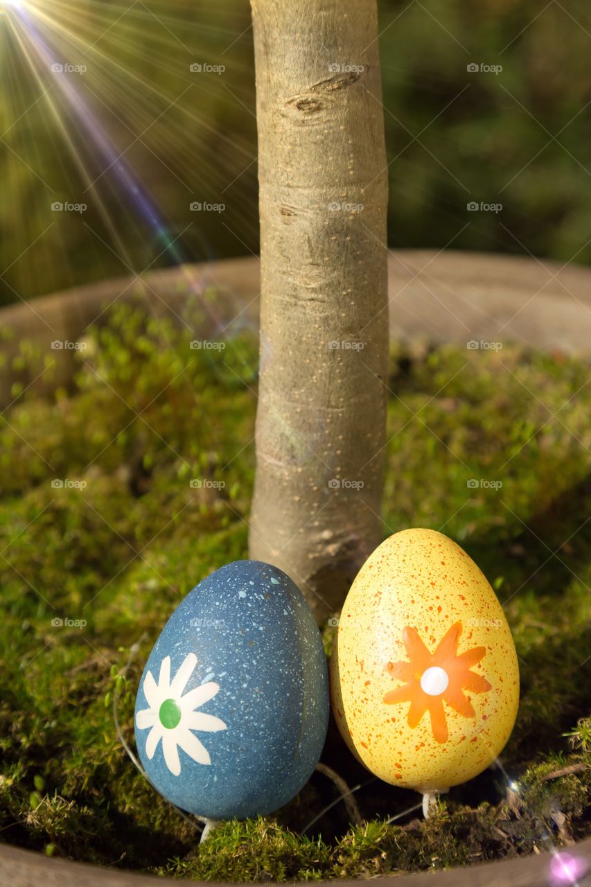 Easter eggs in garden . Easter decoration with busy and eggs on grass in garden.