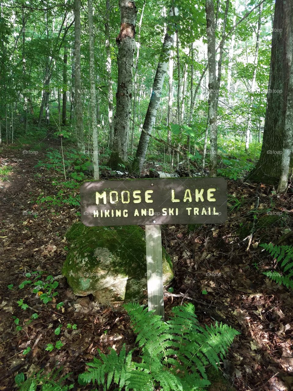 Moose Lake Trail