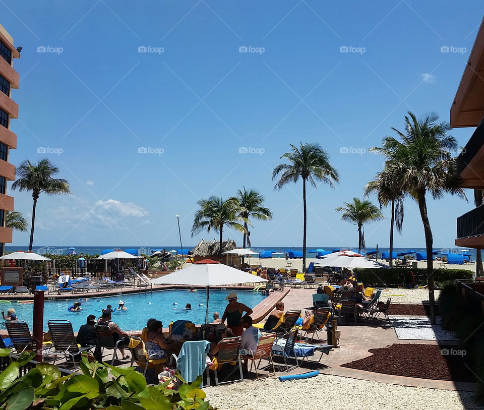 Resort, Beach, Travel, Seashore, Palm