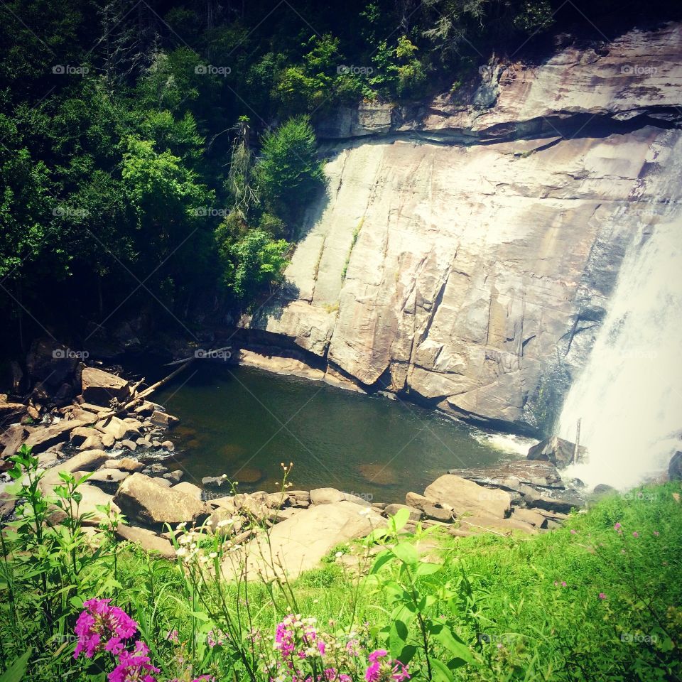 Cashiers, NC - peace 