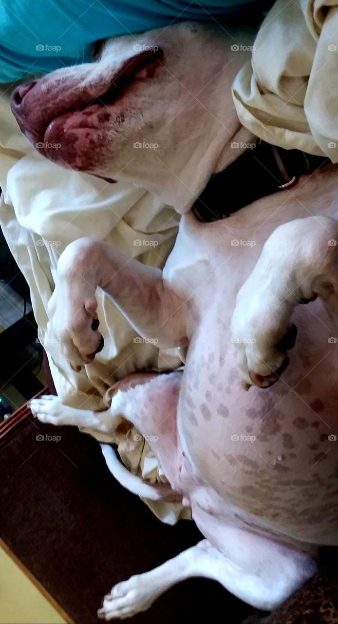 no no no...just let me sleep for a little bit I'm good🙄