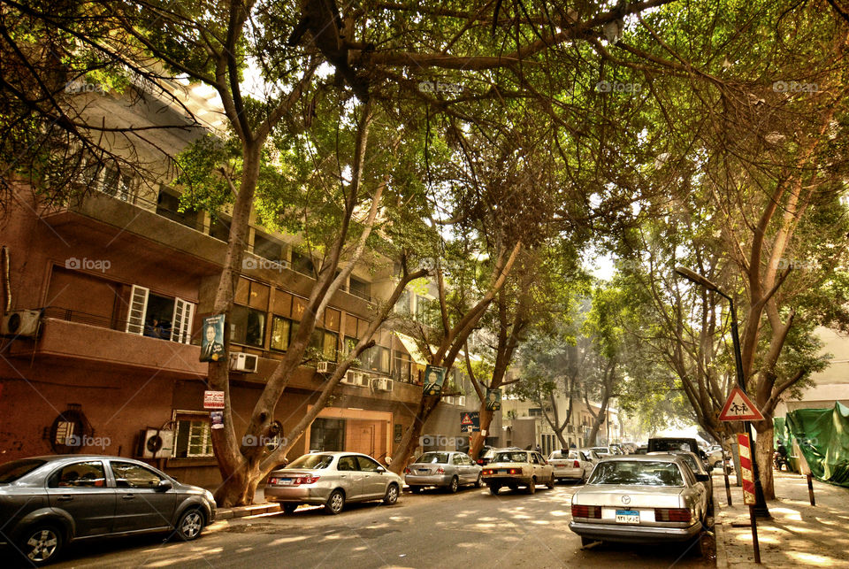 sun rays in "elzamalek" in egypt