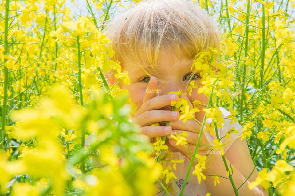 Mischievous and curious little girl of three years playing in a raps field outside the city of Malmo in Sweden