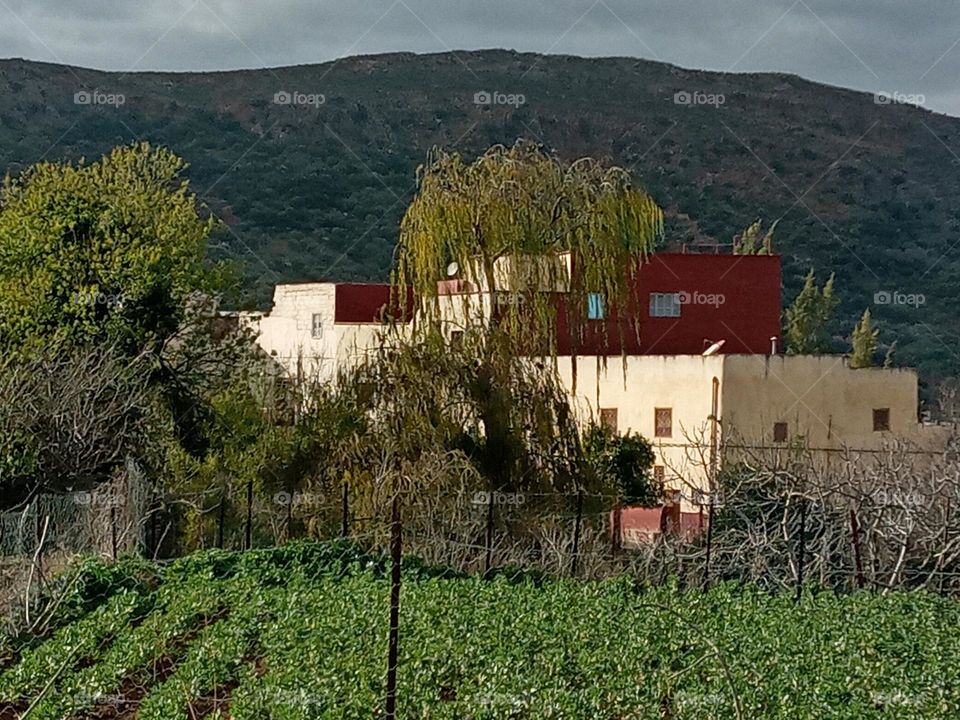 Population between the nature