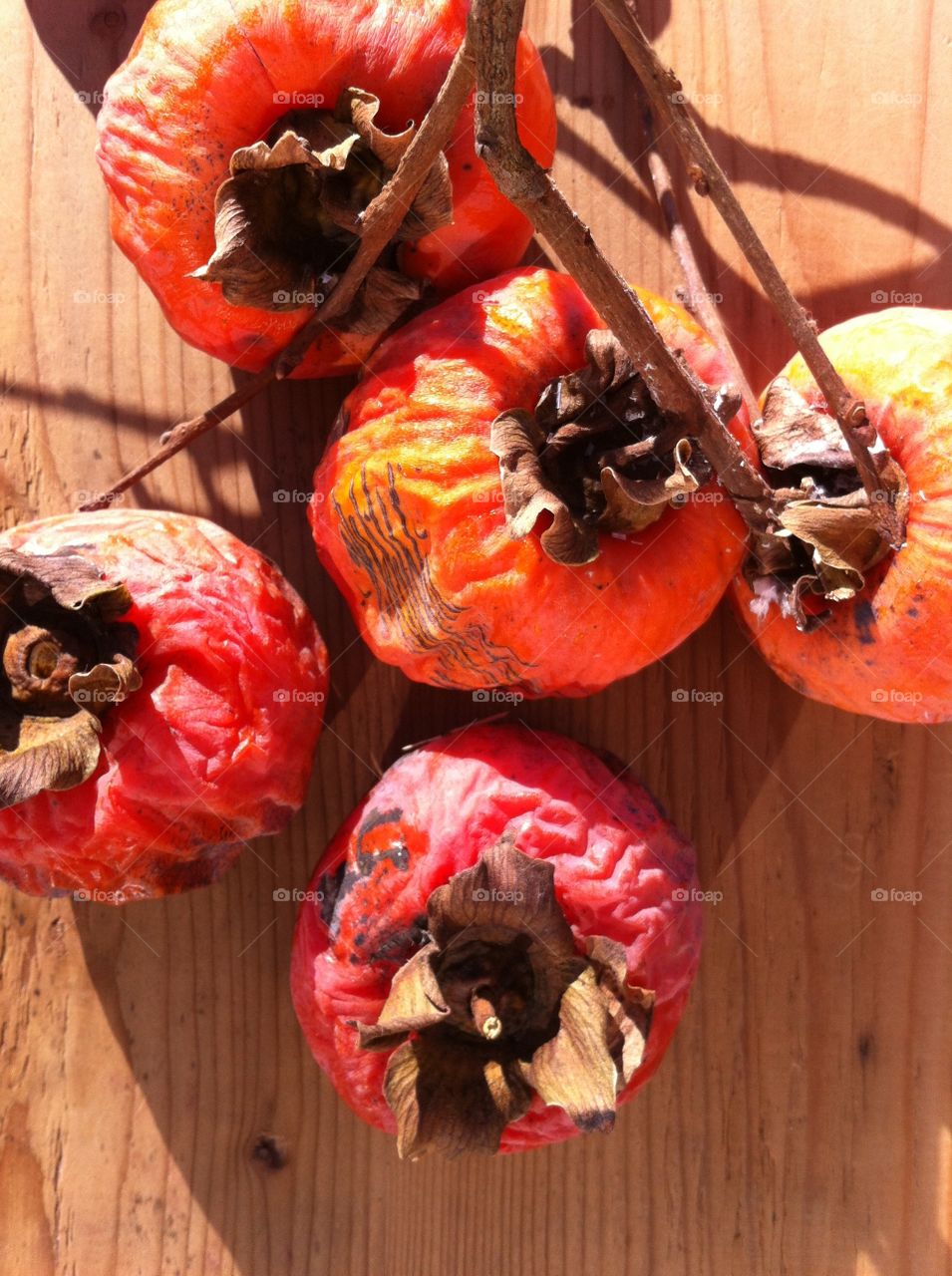 composition of persimmon, typical fruits of autumn