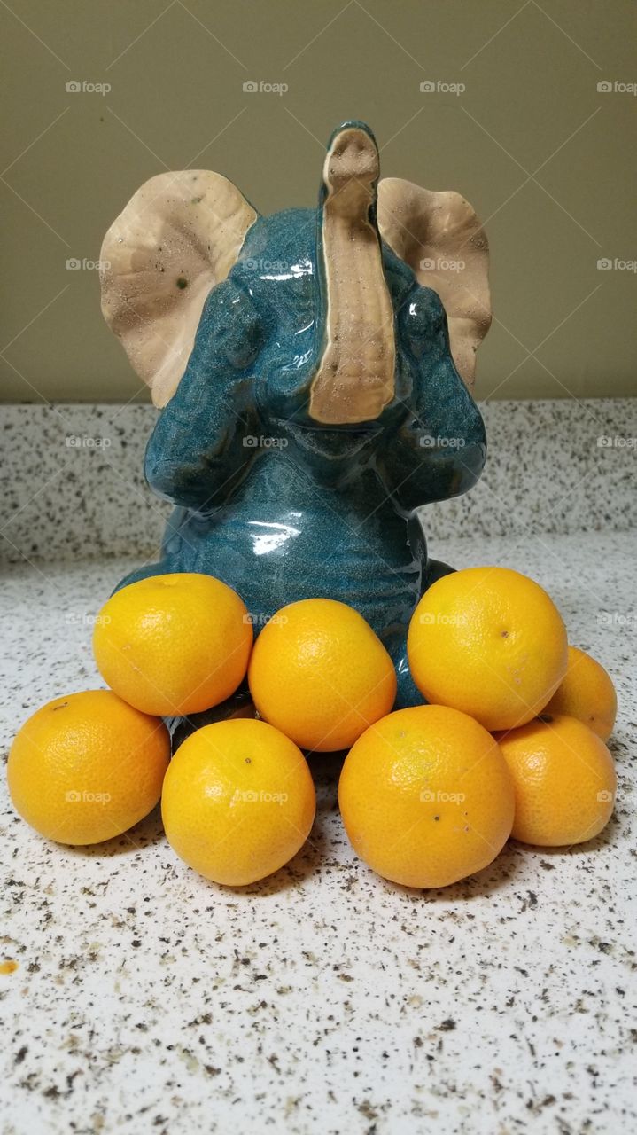 Elephants and Oranges