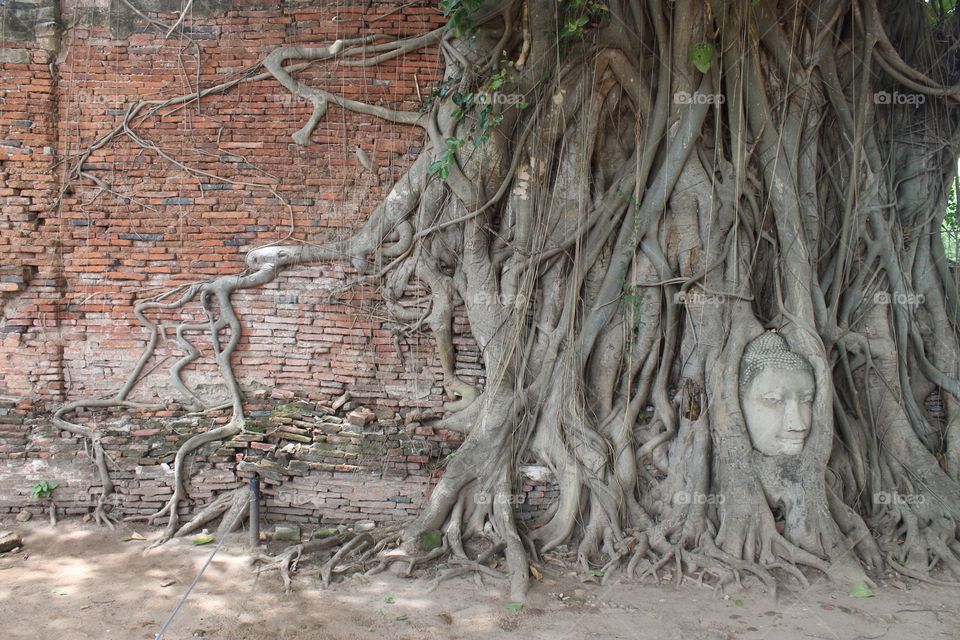 Ruins of Ayutthaya 