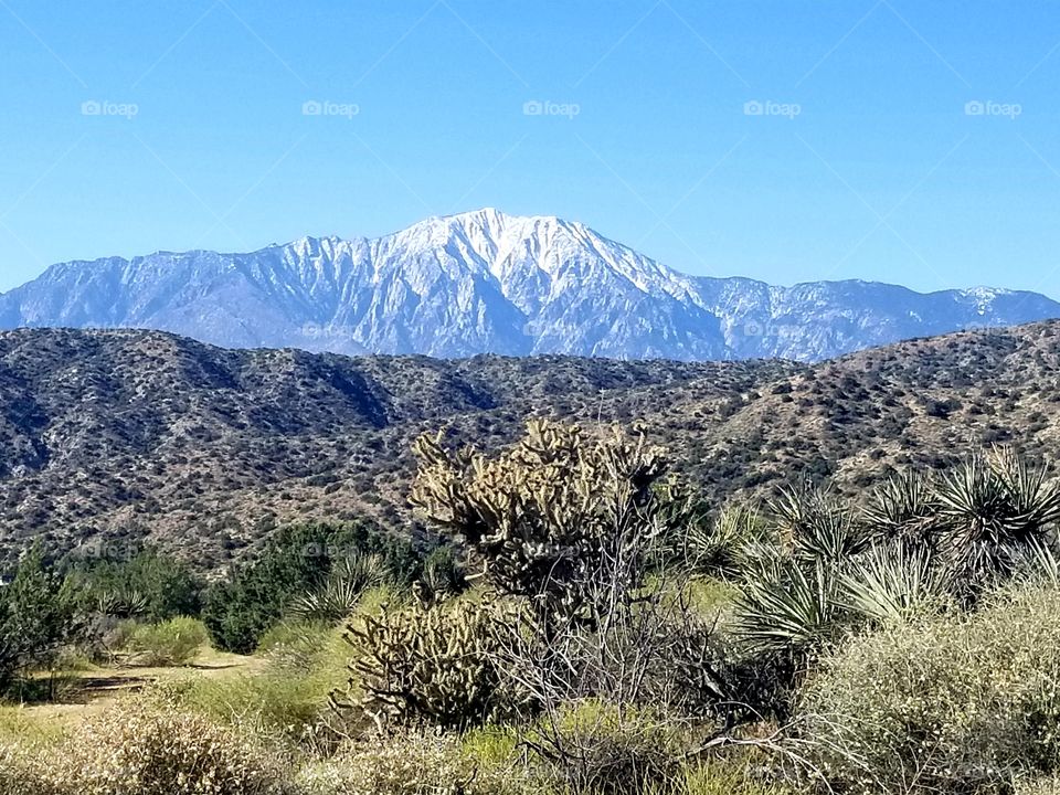 Mt. San Jacinto with desert forefront