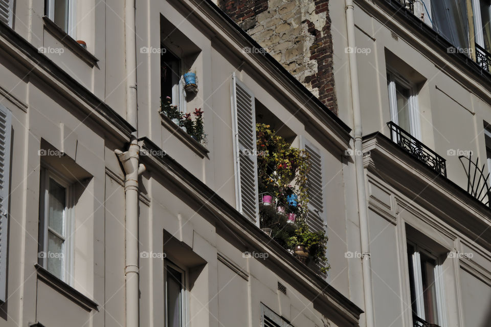 facade of a building