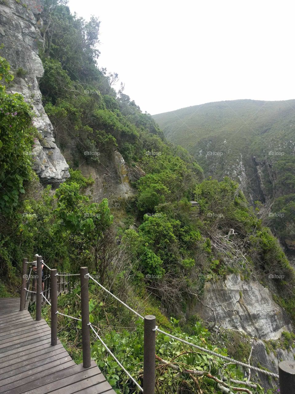 The Garden Route in South Africa
