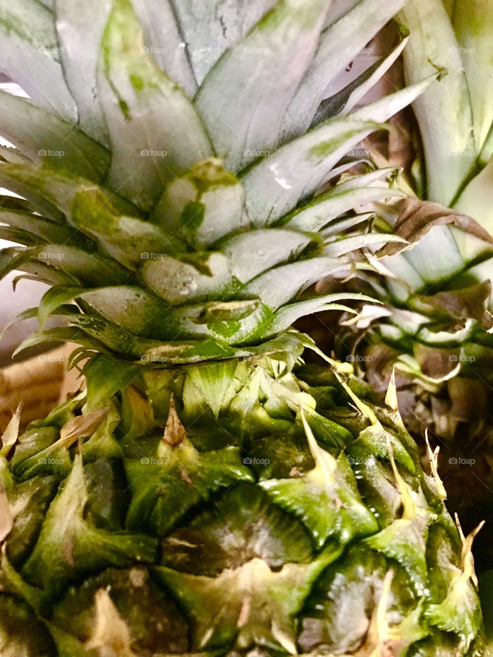 Pineapple 