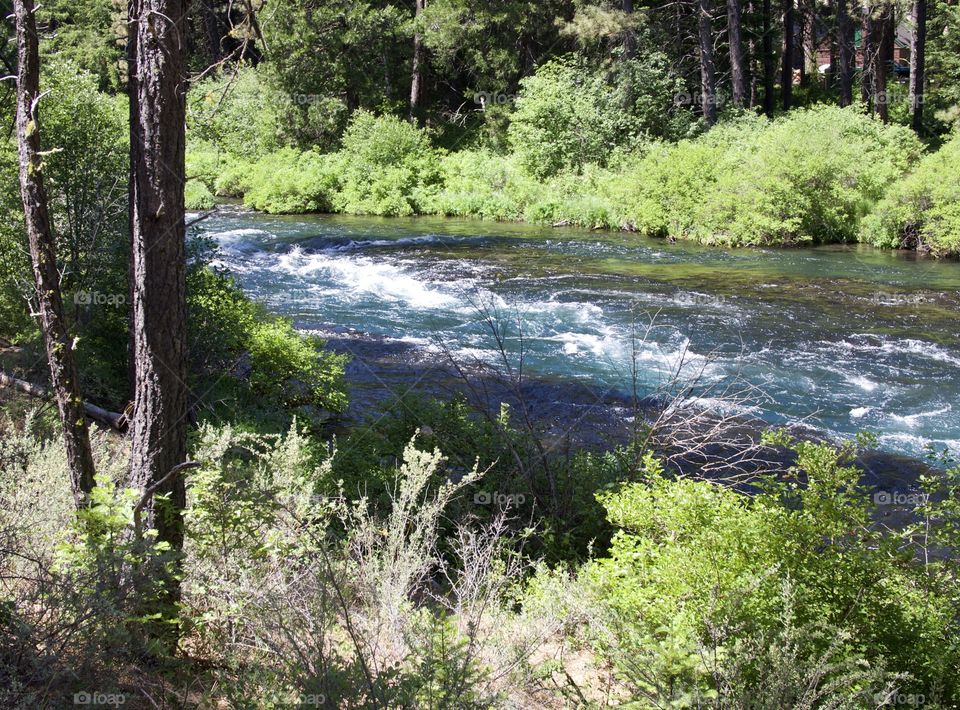 The absolutely stunning turquoise waters of Wizard Falls in the Metolius River on a sunny summer morning in Central Oregon. 