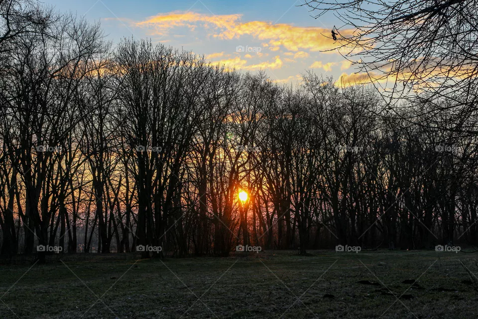 Nature
