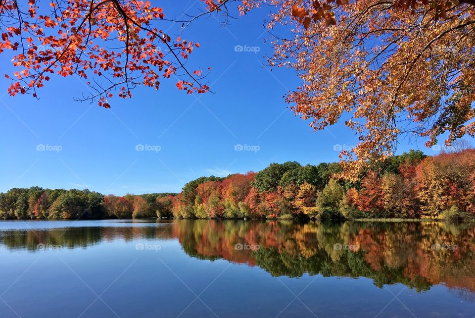 Fall foliage reflection 