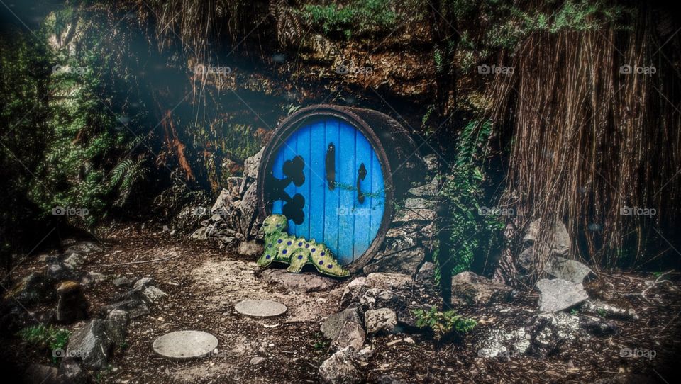 Finding a Hobbiton style door in the woods. 