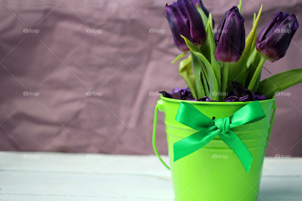 Tulips purple: congratulations, March 8 (International Women's Day), February 14th (Valentine's Day), holiday