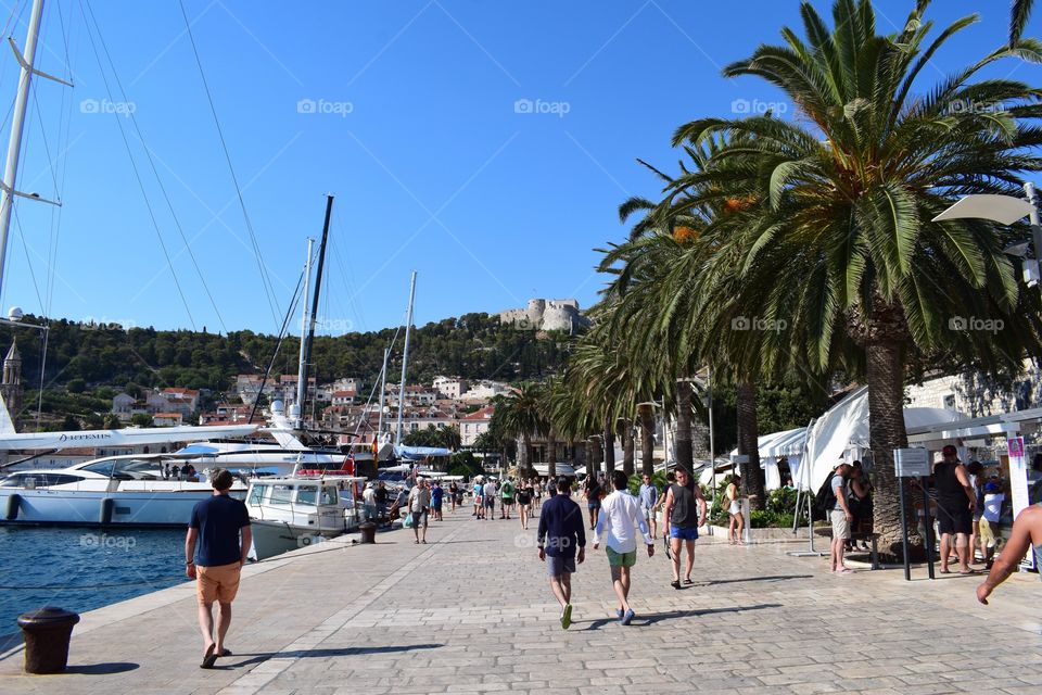 A walk next to the sea