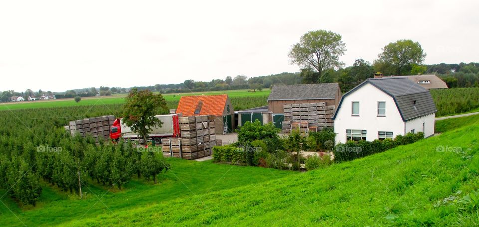 Holland Apple Farm 