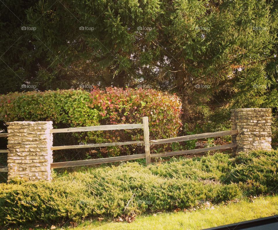 rustic fence