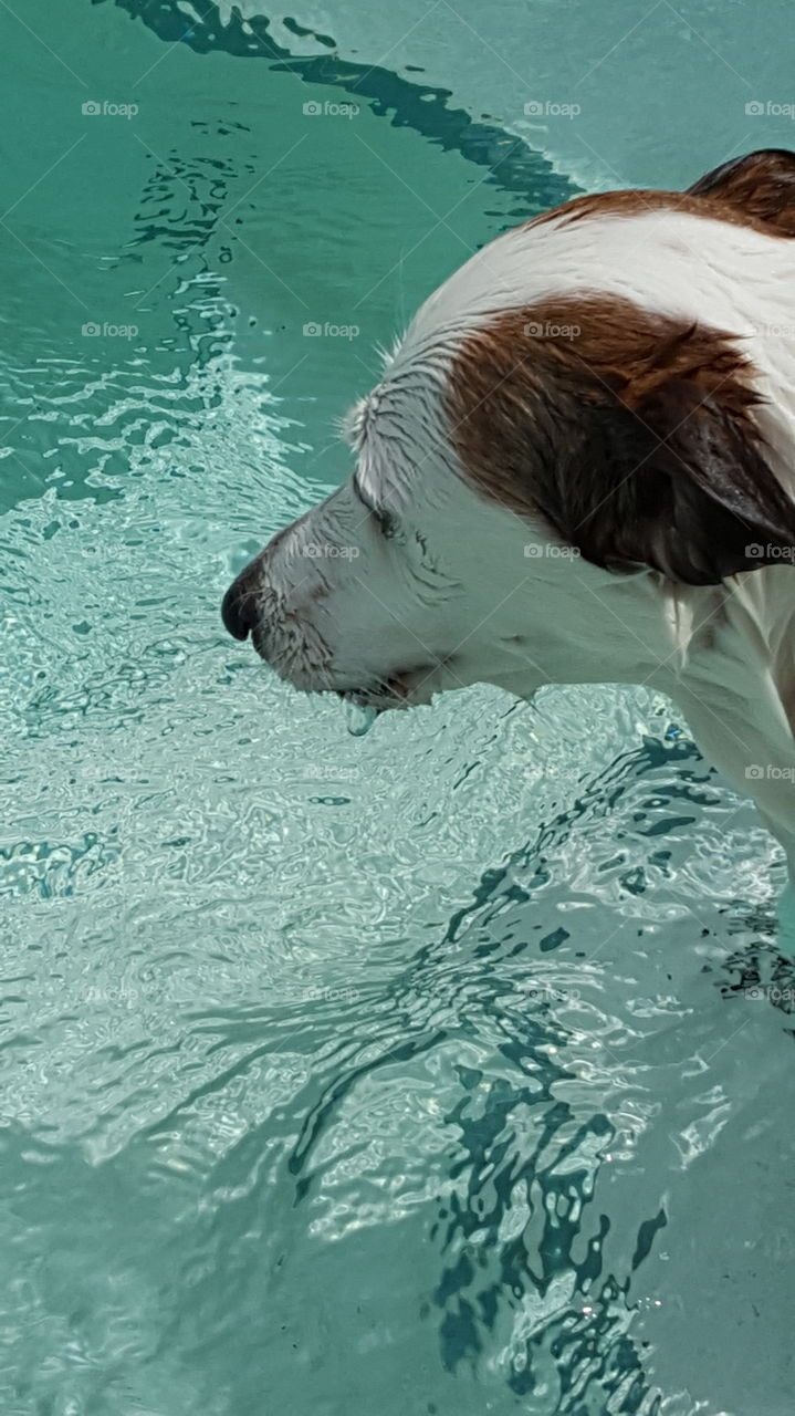 loves the water