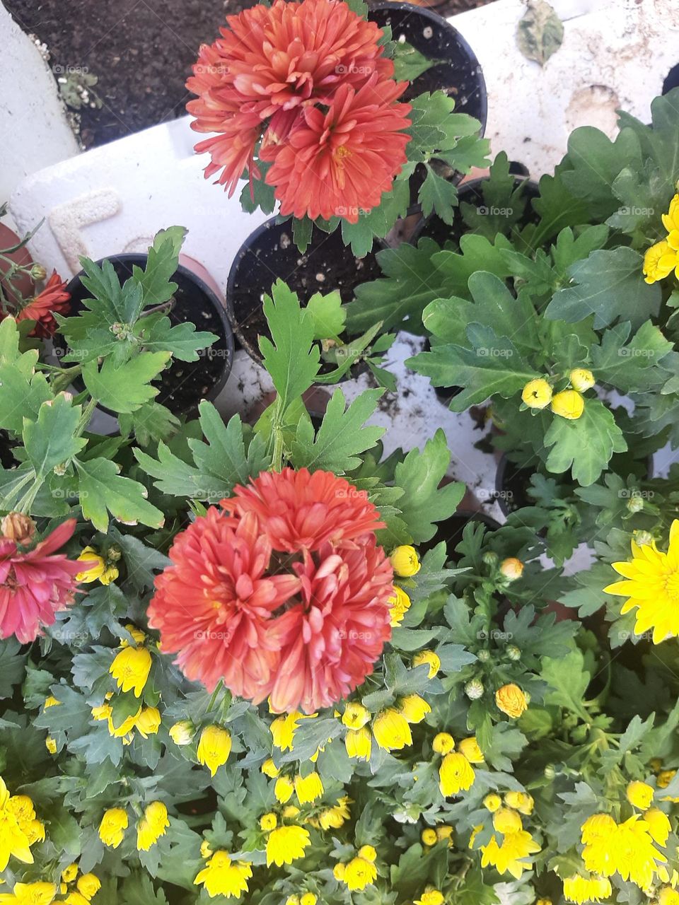 Please make me happy, I am poor, I need your help with support