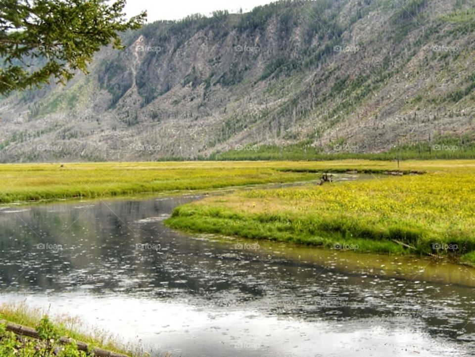 Yellowstone river