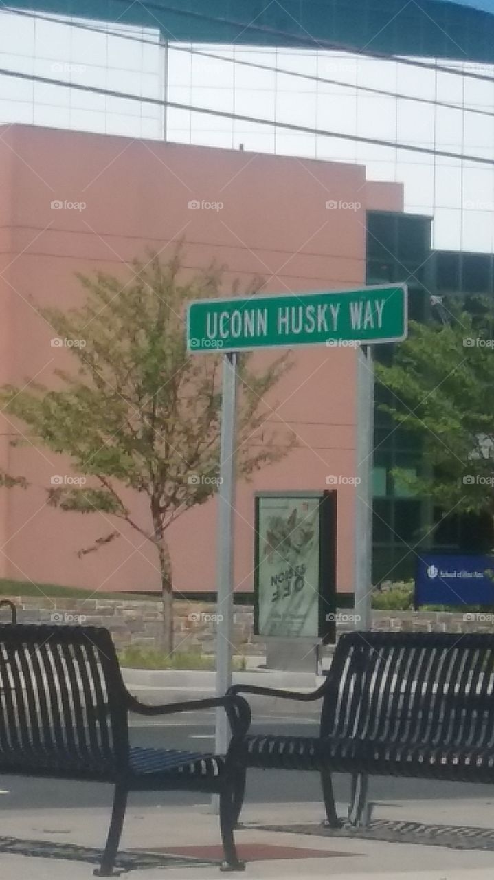 UCONN Husky Way