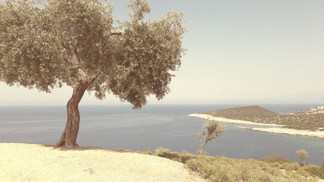 tasos island
