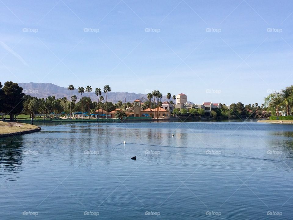 Small lake in Las Vegas