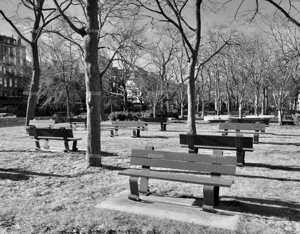 Boston park benches in December 