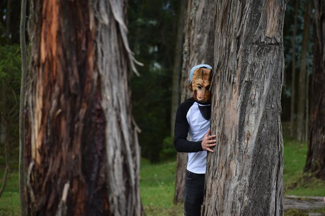 Trees and wolf