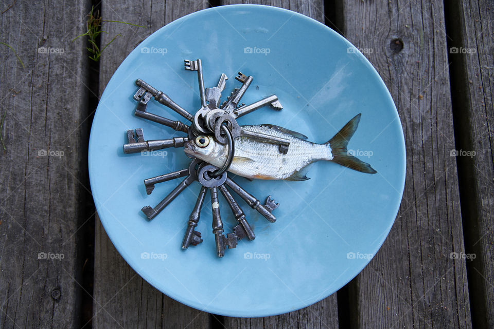 Small silver fish on a blue plate with antique key and wooden grey background. Eating more cyprinid and barb fishes is considered one of the possible solutions for food shortages and climate change. Concept image.