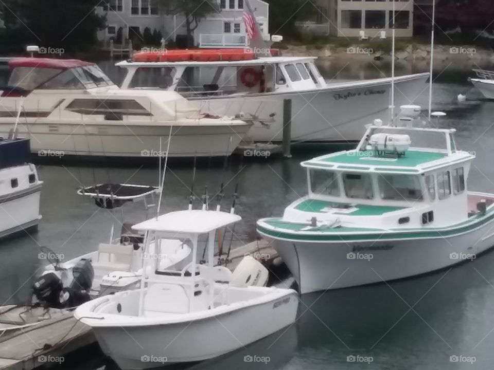 boats