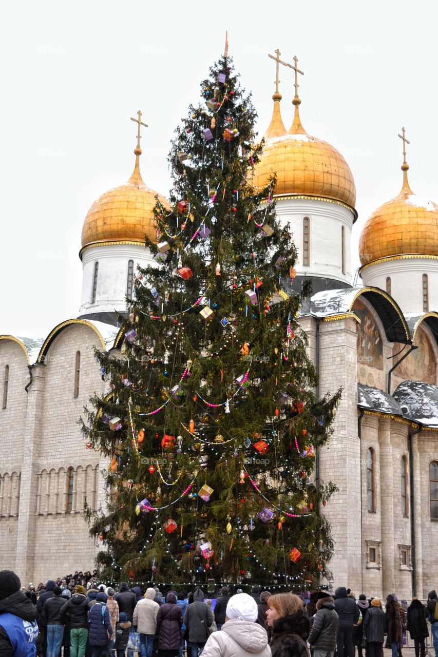 The main new year tree of Russia