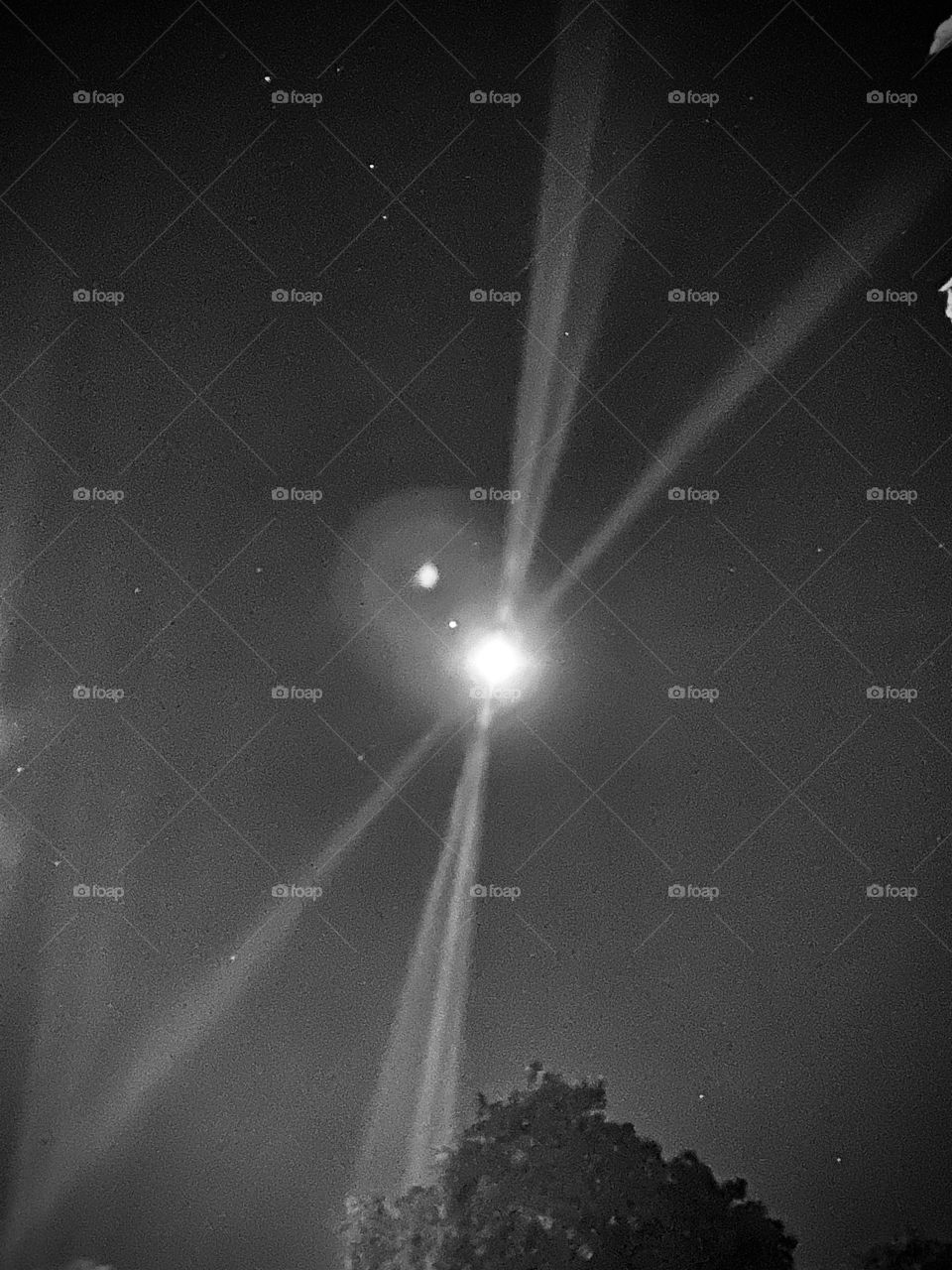 Moon talen from Tøyen in Oslo capital of Norway