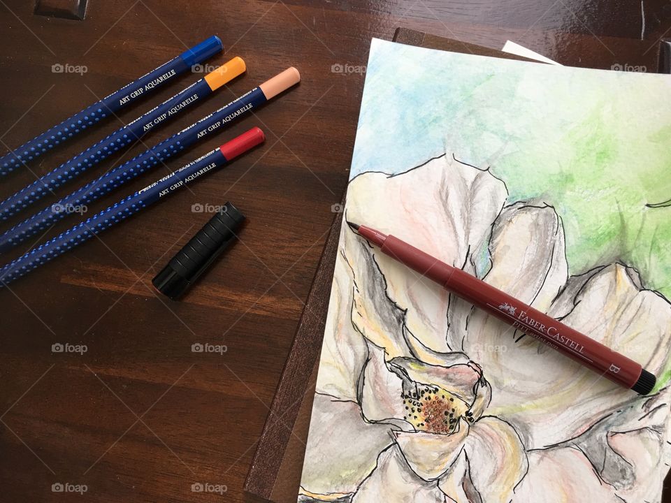 Flowers and nature colors Faber-Castell Aquarelle watercolor sketch art photography 