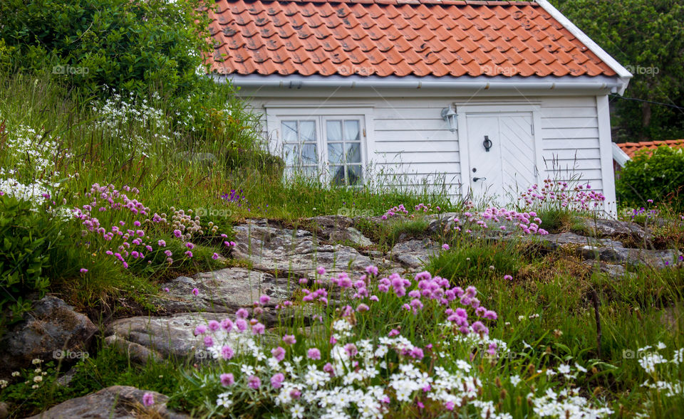 Rocky garden. 