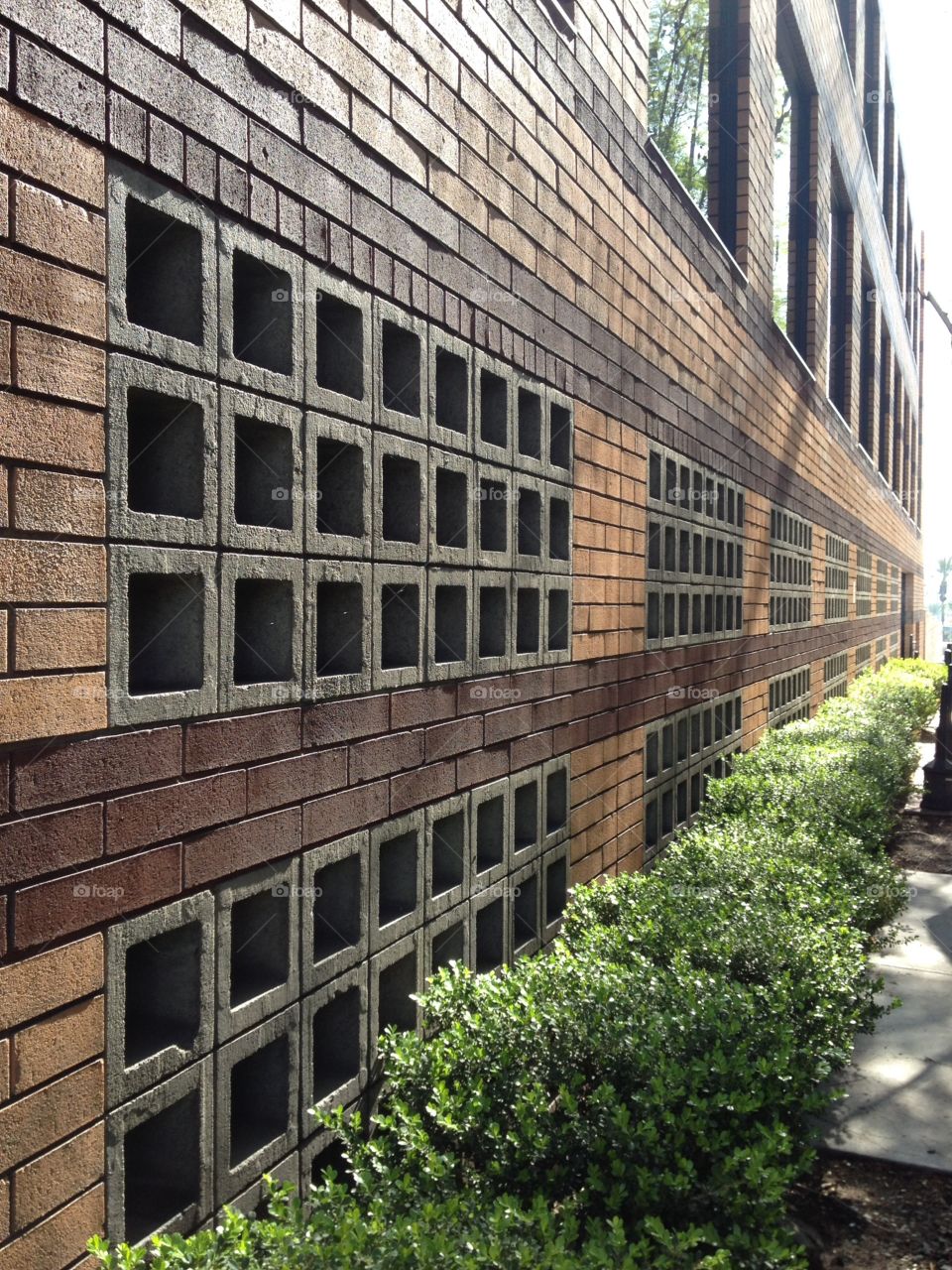 Wall Grid. Wall and greenery