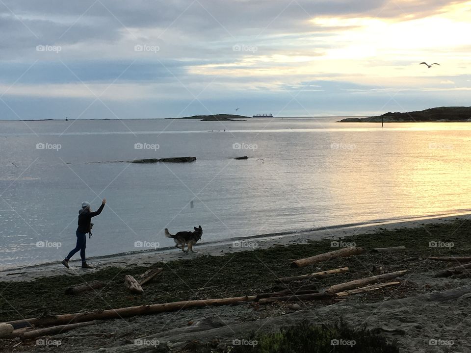 Early morning on a beach