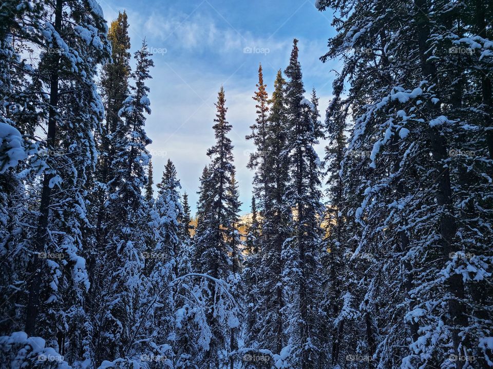 Northern adventures in the snow