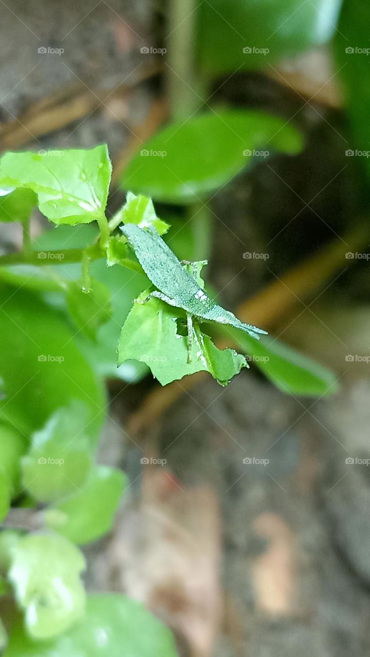 📸 captured the power of complementry colours