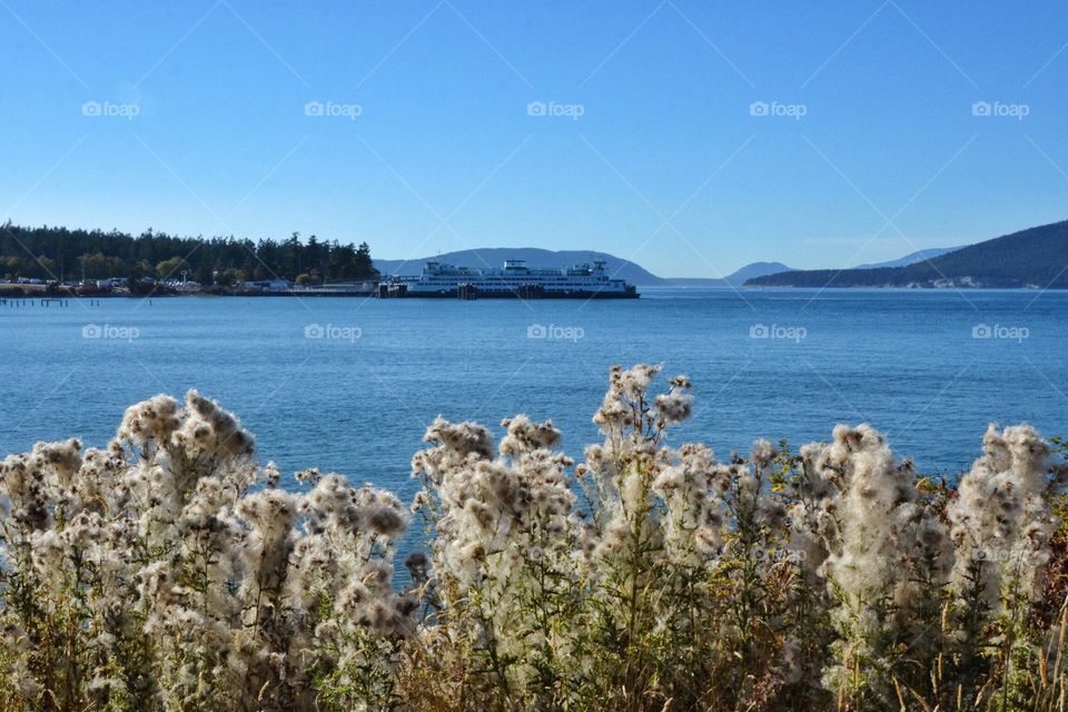 Ferry docked