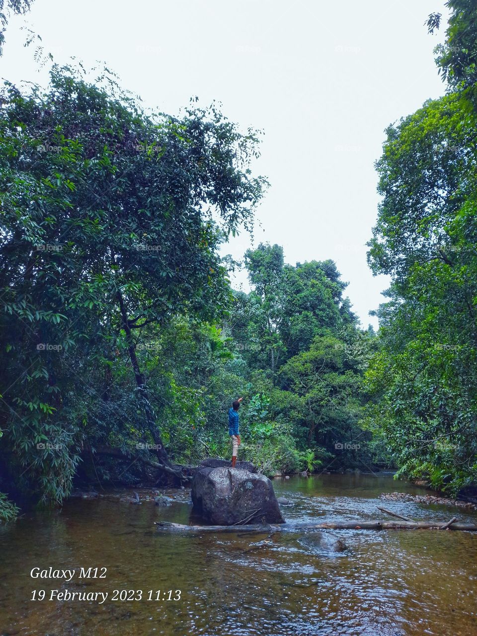 Sri lanka 
Kanneliya forest