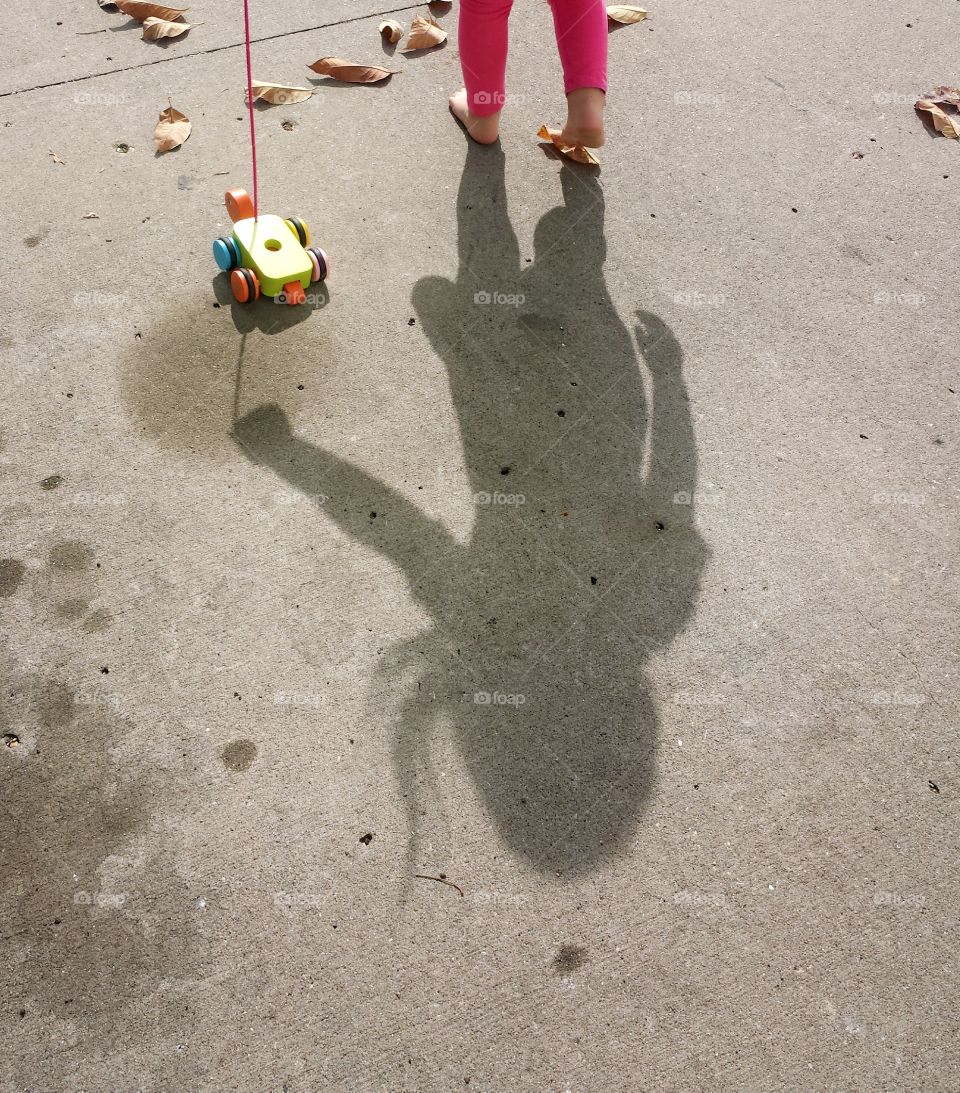 walking the toy turtle