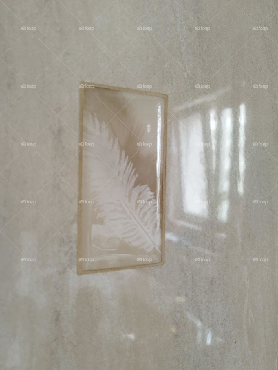 Feather on a tile and window's reflection