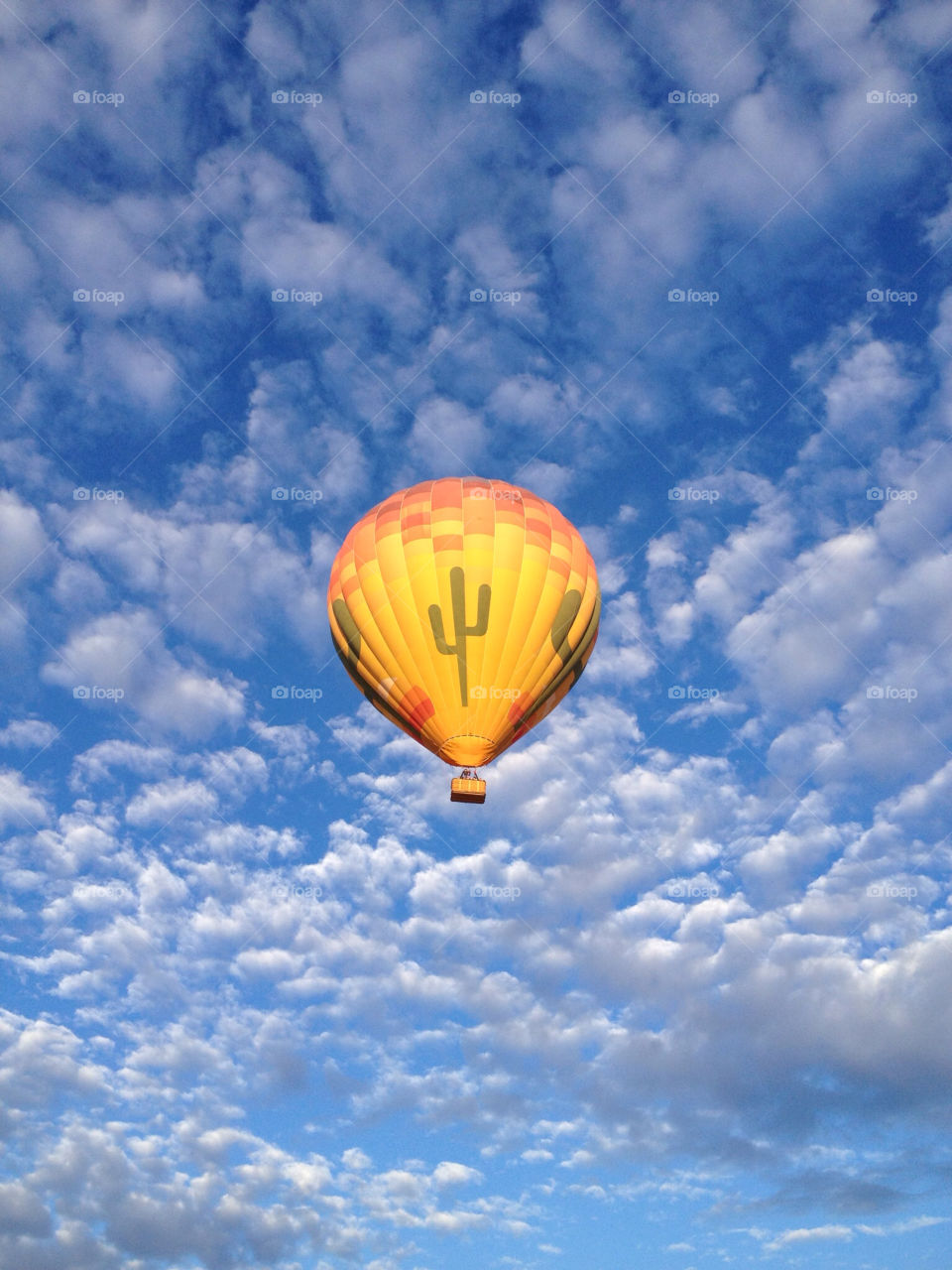 china desert arizona skies by clujeanul