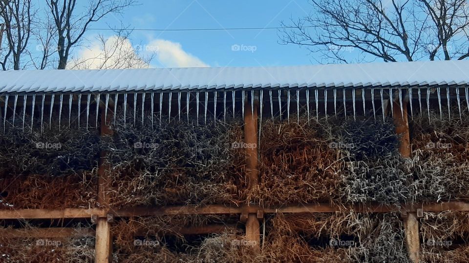 icicles hanging symmetrically from the roof, frost and sun and blue winter sky