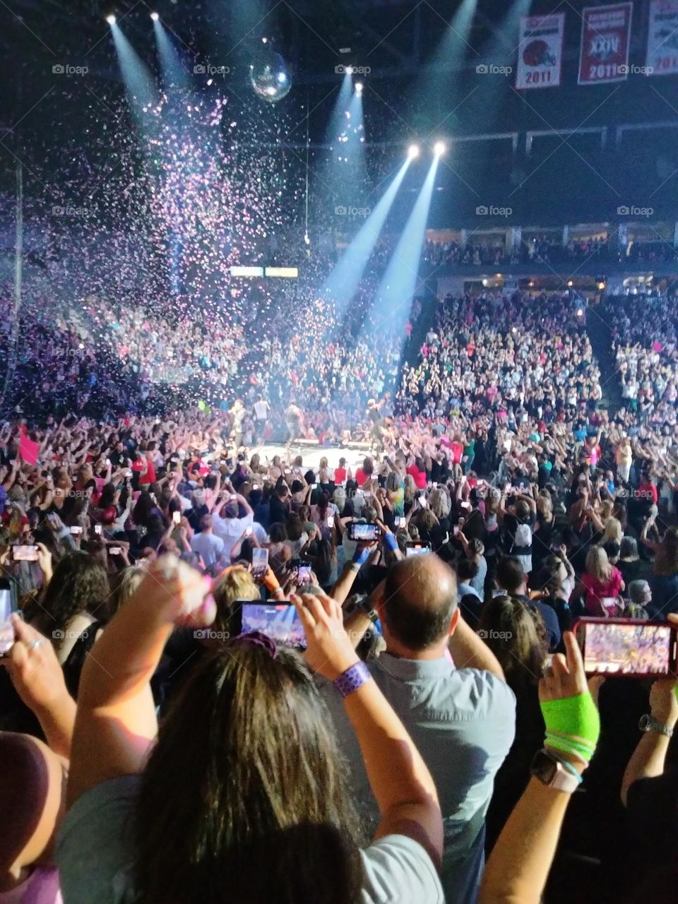 Concert Crowd