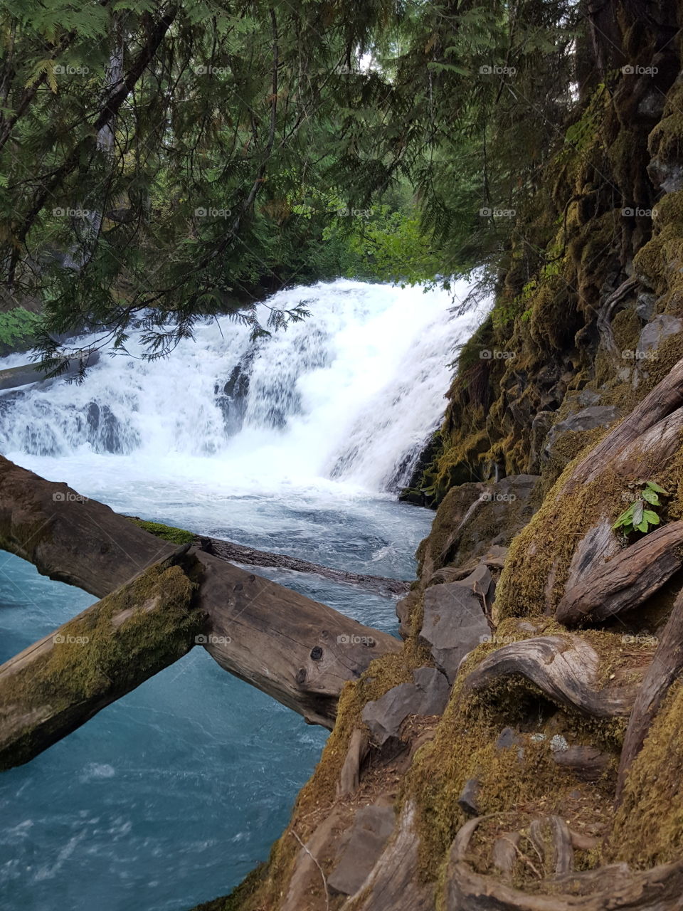 blue falls in Oregon forest